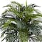 3.16ft. Areca Plant with Decorative Red Planter